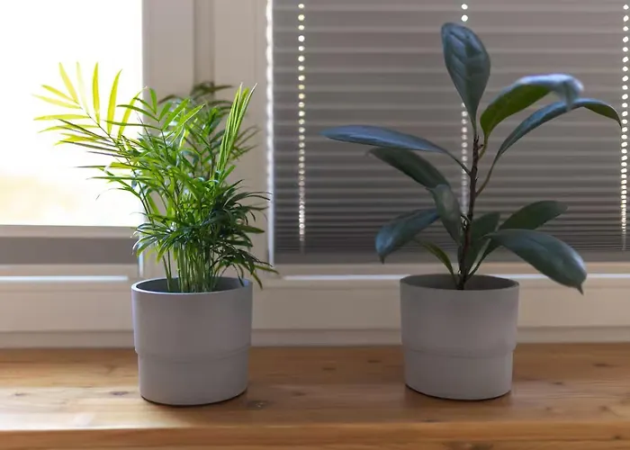 Lublanska - Przytulne, Nowoczesne, W Klimacie Krakowa